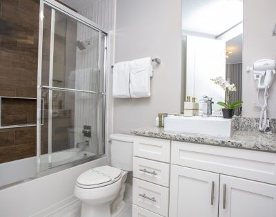 Amazing Harry Potter House 5Bed 6 Bath – 5min Disney